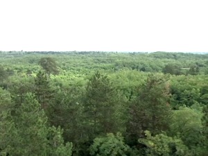 Осматрачнице, камере и  противпожарни камиони чувају Делиблатску пешчару од пожара