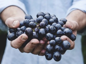 Великогоспојински пост –  шта сме да се нађе на трпези и зашто се први пут једе грожђе