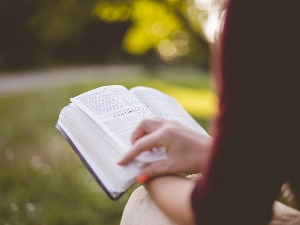 Универзитет у Београду испао из првих 500 на Шангајској листи, Нови Сад поново уврштен