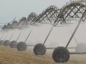 Вреднија од злата и нафте – свету прете несташице и ратови због воде