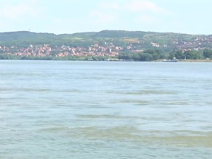 Вирови односе много живота – како савладати панику и реку