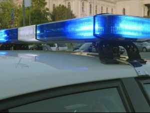 Две особе ухапшене код Глоговца, заплењен 31 килограм марихуане