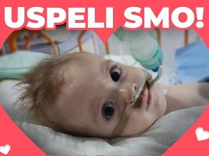 "Успели смо! Воли вас Бошко"