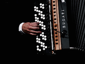 Век хармонике