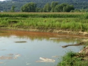 Агенција за заштиту животне средине: Бара код Лознице црвена због присуства алги