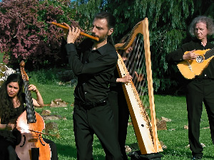 Игре и песме из Ирске 