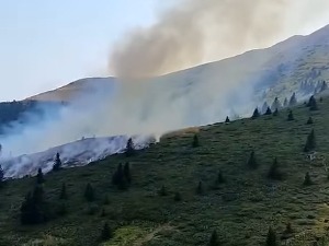 Пожар на Копаонику, гори ниско растиње