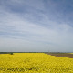 Фолдер Србија: Женске школе