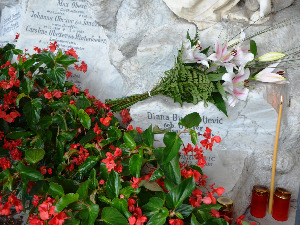 Инзбрук: Прва шетња сећања на Диану Будисављевић 