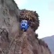 Краљ низбрдице