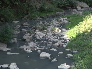 Река Блаташница једна од најзагађенијих у Србији, од ње беже и животиње и људи