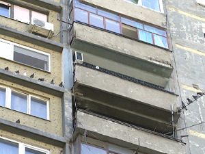 Кад голубови постану "кућни љубимци" у солитеру на 12. спрату, комшије у безизлазној ситуацији