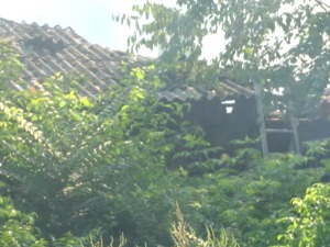 Пожар у кругу "Мостоградње" на Новом Београду, ватрогасци на терену