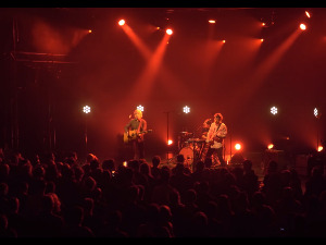 Music live collection: Ли Раналдо и Електрик Трим Трио