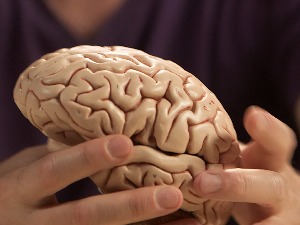 У потрази за натчовеком:  Бионички људи