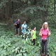 Дан пешачења