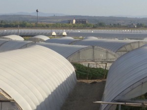 Порез на земљу у лесковачком крају диктира тржиште