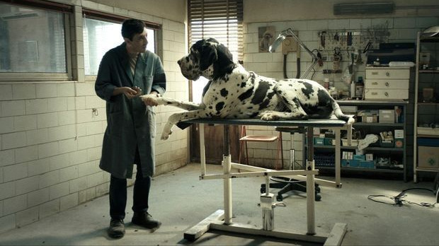 Dogmen Dogmen