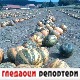 Гледаоци репортери (15. септембар 2021)