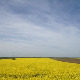 	Фолдер Србија: Брана Црнчевић 