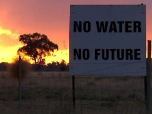 Фајронт у Оази