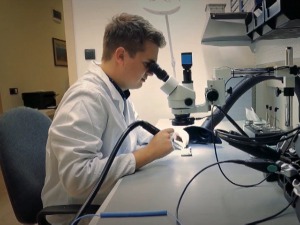 Иновације – од идеје до привреде засноване на знању