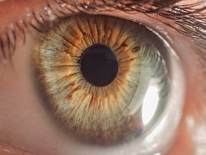 Чуда, 4. емисија