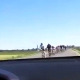 За велику награду шофершајбне