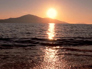 "Златни јавор" за "Где је срце" – награђено остварење дописништва РТС-а у Ужицу