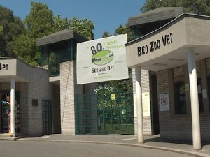 Наредна два дана бесплатно у музеје, зоо вртове, на гондоле