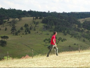 Моја дедовина