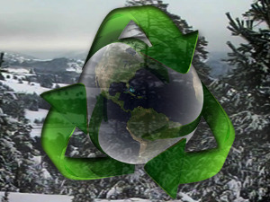 Последњи дивљи коњи у Европи