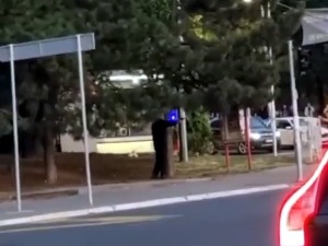 Пуцњава у Устаничкој улици, ухапшен мушкарац који је испалио хице