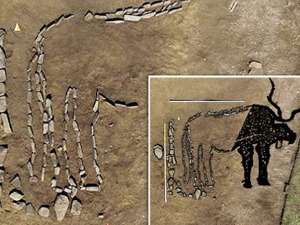 Приказ бика стар 4.000 година пронађен у Русији