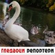 Гледаоци репортери (5. октобар 2021)
