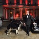 „24 сата елеганције“ – београдски сајам софистицираног луксуза