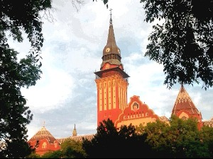 Суботица, ухапшен због сумње да је увредио градоначелника на националној основи 