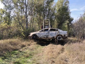 Дан жалости у Алексинцу због смрти породице Ђокић