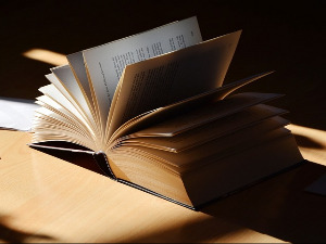 Маја Рогач: Аутофикција