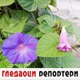 Гледаоци репортери (18. октобар 2021)