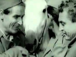 Рафал у небо