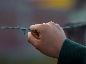 У Србији деца најбројнија у мрежи трговине људима, како избећи "клопку"