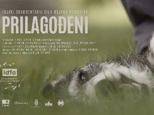 Светска премијера филма "Прилагођени" Дејана Петровића на фестивалу у Амстердаму