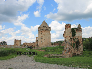 Тврђаве на Дунаву: Бач