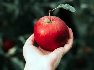 Важно је појести једну јабуку дневно, професор Радивојевић открива зашто је ово воће посебно