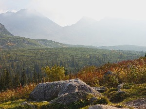 Планинар преминуо на Фрушкој гори