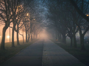 Ноћне променаде