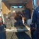 Uhapšen srpski državljanin u Mađarskoj, u kombiju prevozio 16 ilegalnih migranata