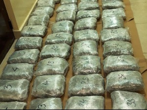 У Пријепољу заплењено више од 90 килограма марихуане 