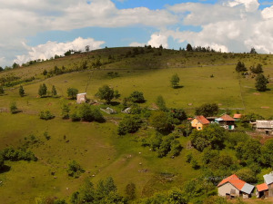 Моја дедовина